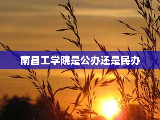 南昌工学院是公办还是民办