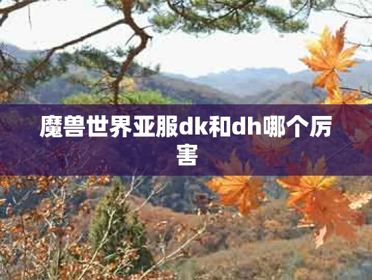 魔兽世界亚服dk和dh哪个厉害