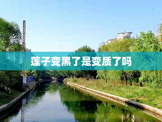 莲子变黑了是变质了吗