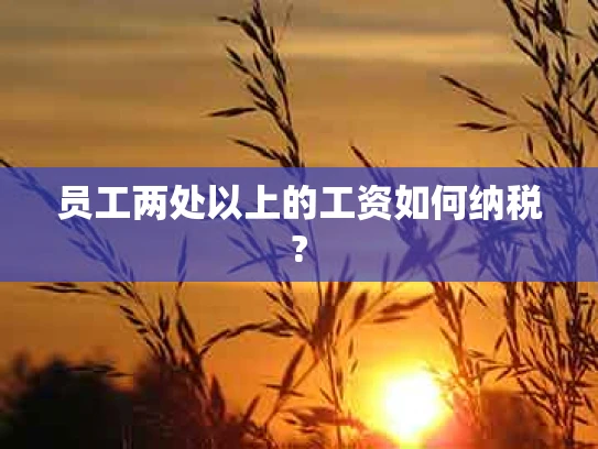 员工两处以上的工资如何纳税?