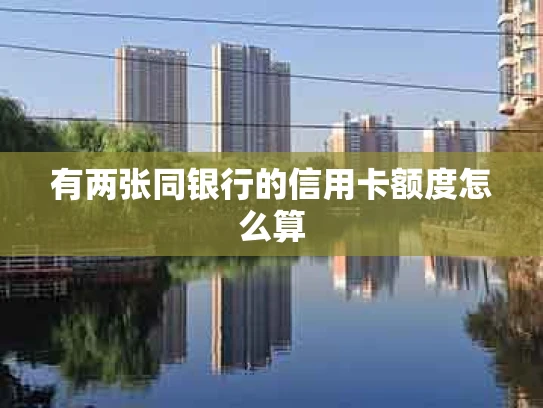 有两张同银行的信用卡额度怎么算