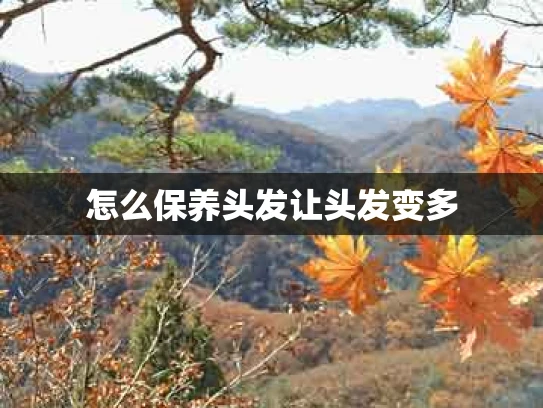 怎么保养头发让头发变多