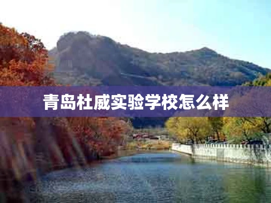 青岛杜威实验学校怎么样