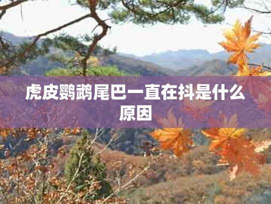 虎皮鹦鹉尾巴一直在抖是什么原因