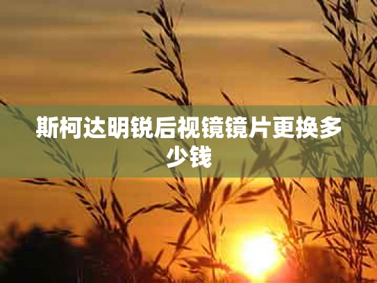 斯柯达明锐后视镜镜片更换多少钱