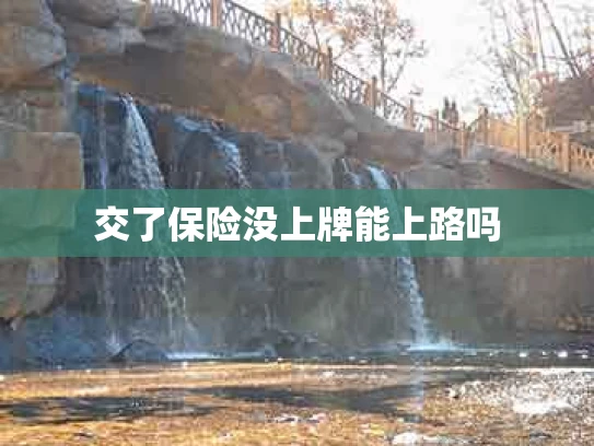 交了保险没上牌能上路吗