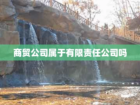 商贸公司属于有限责任公司吗