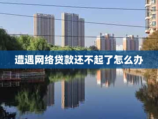 遭遇网络贷款还不起了怎么办