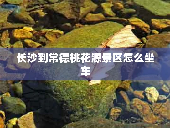 长沙到常德桃花源景区怎么坐车