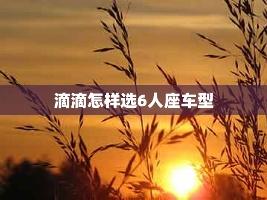 滴滴怎样选6人座车型