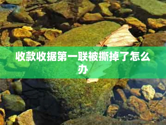 收款收据第一联被撕掉了怎么办