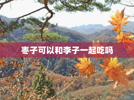 枣子可以和李子一起吃吗