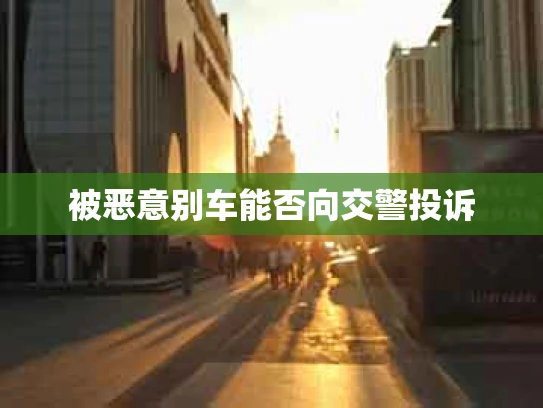 被恶意别车能否向交警投诉