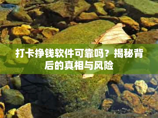 打卡挣钱软件可靠吗？揭秘背后的真相与风险