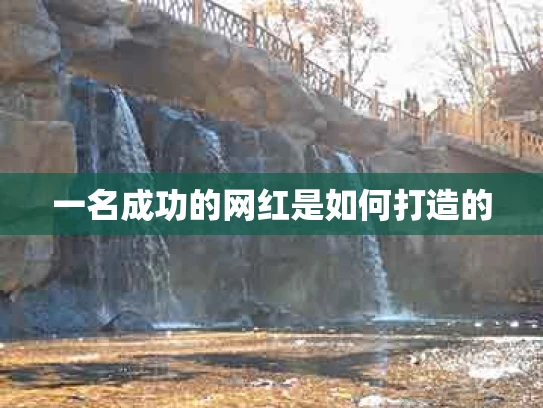 一名成功的网红是如何打造的