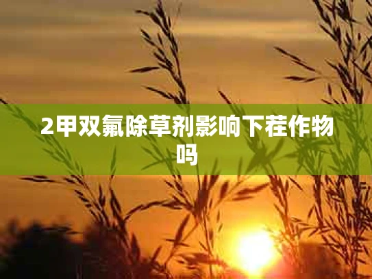 2甲双氟除草剂影响下茬作物吗