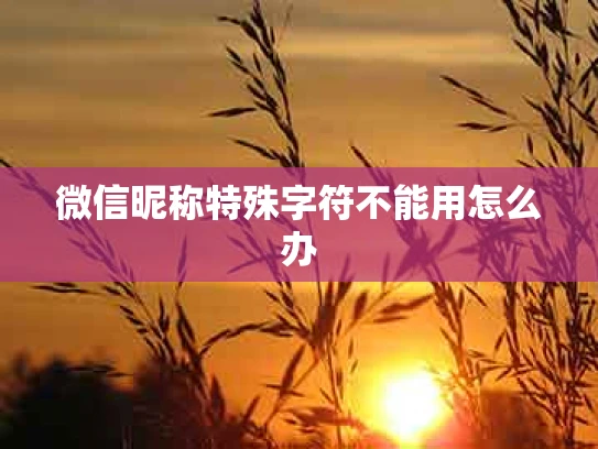 微信昵称特殊字符不能用怎么办