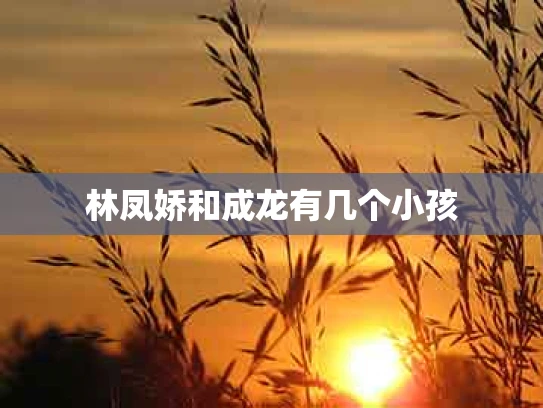 林凤娇和成龙有几个小孩