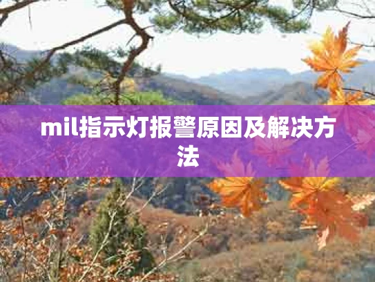 mil指示灯报警原因及解决方法