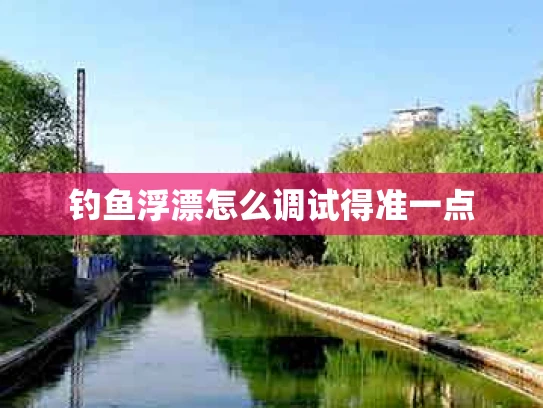 钓鱼浮漂怎么调试得准一点