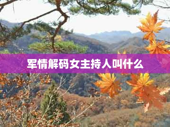 军情解码女主持人叫什么