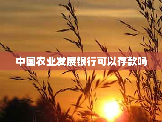 中国农业发展银行可以存款吗