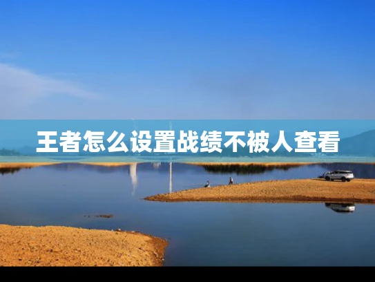 王者怎么设置战绩不被人查看