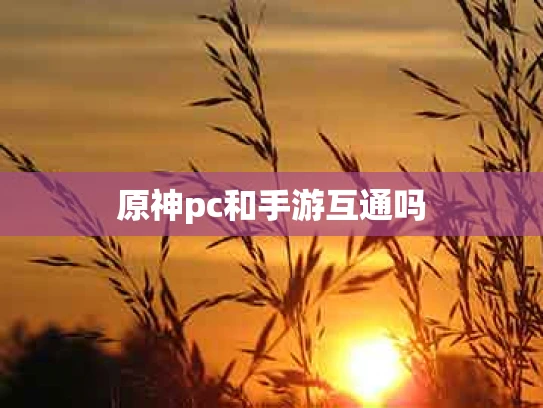 原神pc和手游互通吗