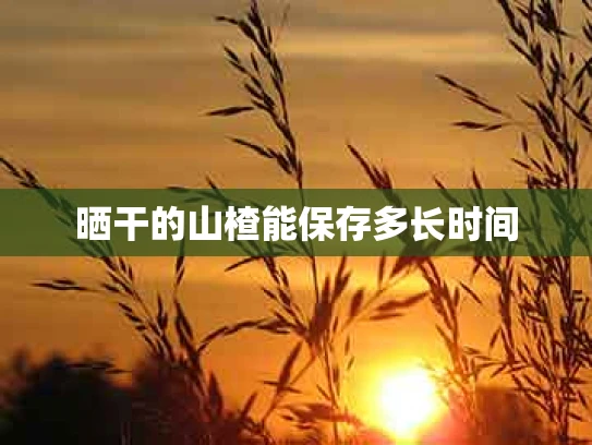 晒干的山楂能保存多长时间