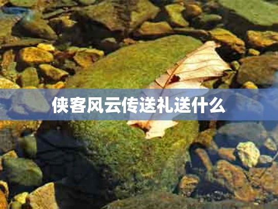 侠客风云传送礼送什么