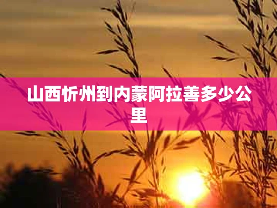 山西忻州到内蒙阿拉善多少公里