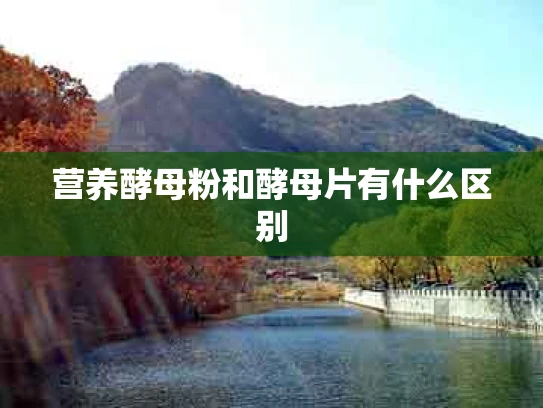 营养酵母粉和酵母片有什么区别