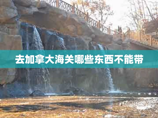 去加拿大海关哪些东西不能带