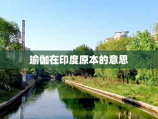瑜伽在印度原本的意思