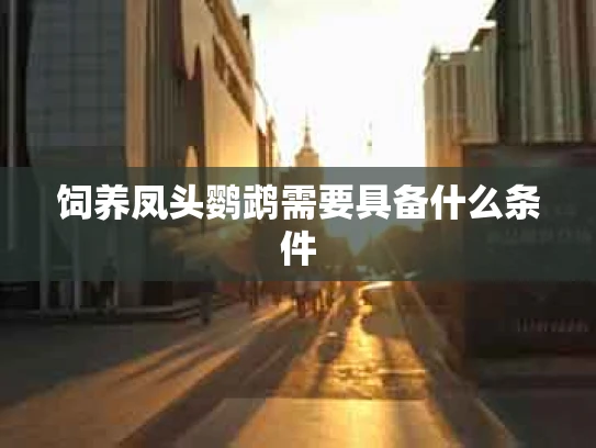 饲养凤头鹦鹉需要具备什么条件