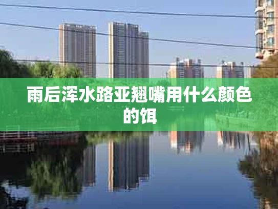 雨后浑水路亚翘嘴用什么颜色的饵