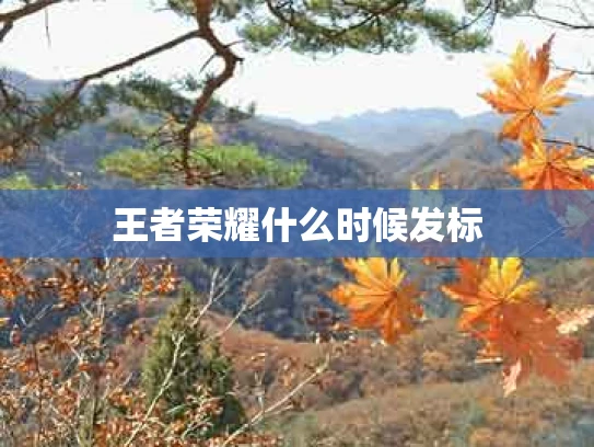王者荣耀什么时候发标