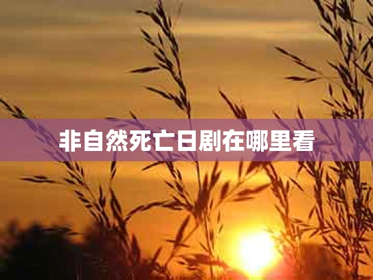 非自然死亡日剧在哪里看