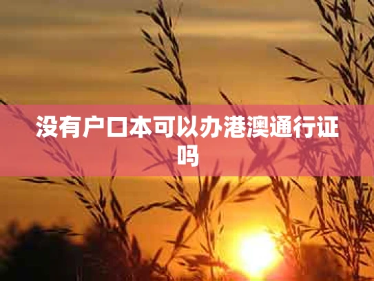 没有户口本可以办港澳通行证吗