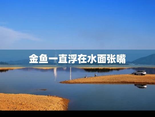 金鱼一直浮在水面张嘴