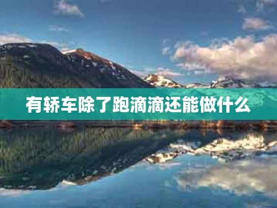 有轿车除了跑滴滴还能做什么