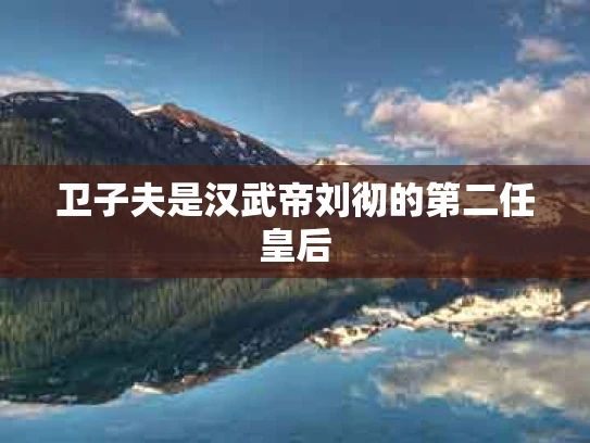 卫子夫是汉武帝刘彻的第二任皇后