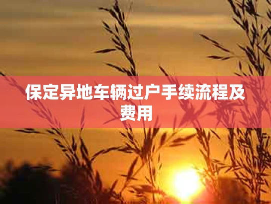 保定异地车辆过户手续流程及费用