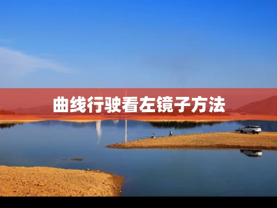 曲线行驶看左镜子方法