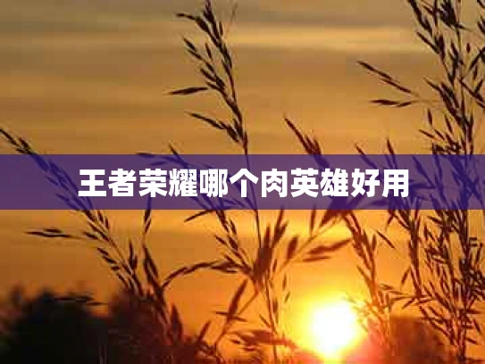 王者荣耀哪个肉英雄好用