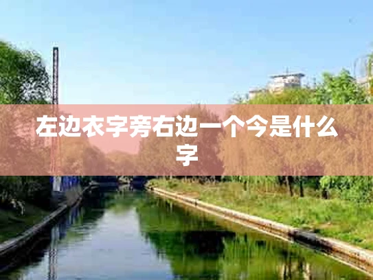 左边衣字旁右边一个今是什么字