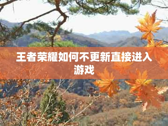 王者荣耀如何不更新直接进入游戏