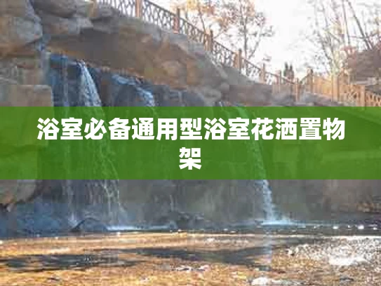 浴室必备通用型浴室花洒置物架