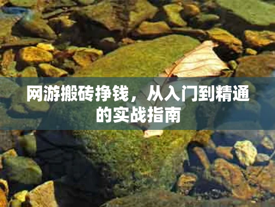 网游搬砖挣钱，从入门到精通的实战指南