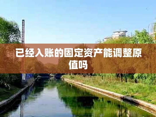 已经入账的固定资产能调整原值吗